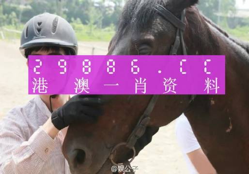 澳门必中一一肖一码服务内容_精选作答解释落实_V47.11.50